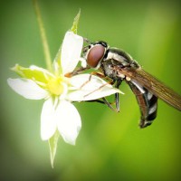 /album/woocommerce/photolia-a02-jpg/
