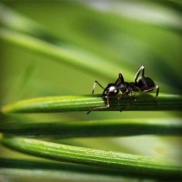 /album/woocommerce/photolia-a05-jpg/