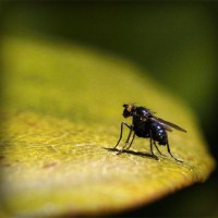 /album/woocommerce/photolia-a07-jpg/